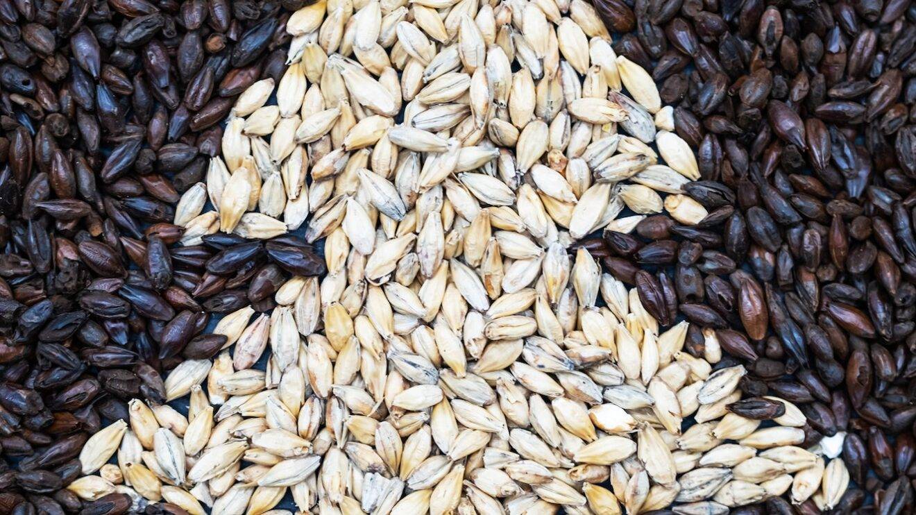 Comment brasser votre propre bière à la maison - Beer Discover